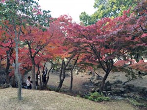 紅葉